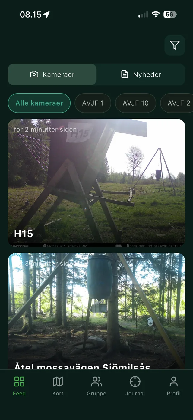 Jäger-app'en viser vildtkamerabilleder sorteret af AI